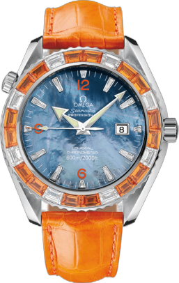 Omega Seamaster Planet Ocean 600M Co-Axial 45.5